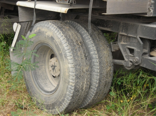 ขายโปรเฟีย  24  ล้อ