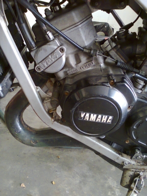 ขาย TZR สภาพดี ขาย TZR สภาพดี