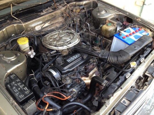 เเลก บิ๊กไบทครับบบ