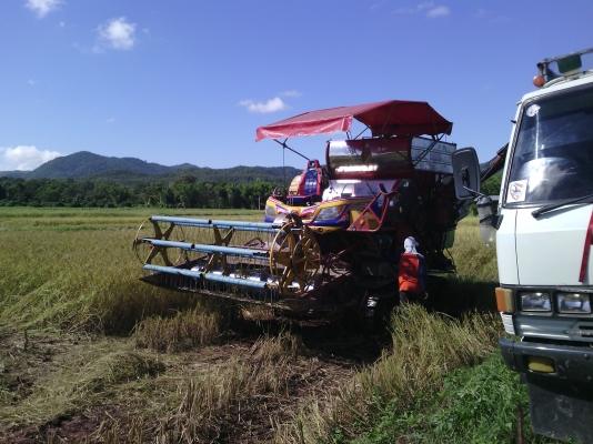 จ้าวช้างไวไฟปี51ท่อปรับระดับเจ้าของขายเอง