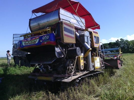 จ้าวช้างไวไฟปี51ท่อปรับระดับเจ้าของขายเอง