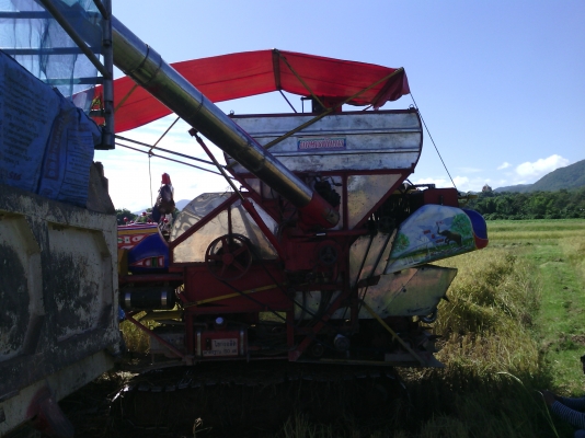 จ้าวช้างไวไฟปี51ท่อปรับระดับเจ้าของขายเอง