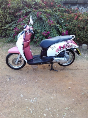 สกู๊ปปี้ไอปี54