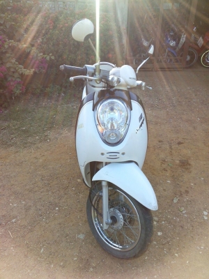 สกู๊ปปี้ไอปี52