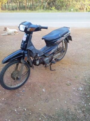 ดรีม100ปี38 ดรีม100ปี38