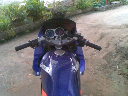 serpico ถูกๆๆ