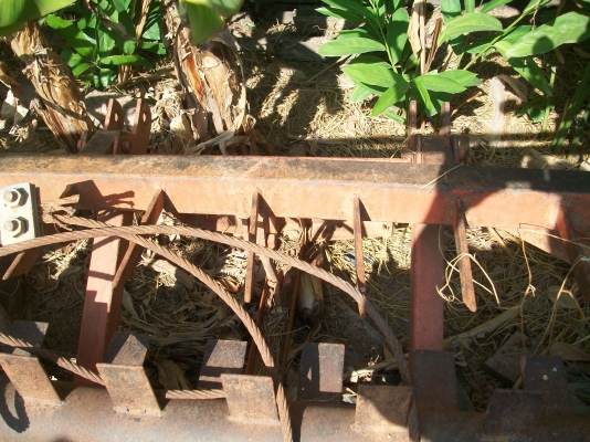 ขายด่วนลงรูปใหม่ให้ดูครับ ขายด่วนลงรูปใหม่ให้ดูครับ