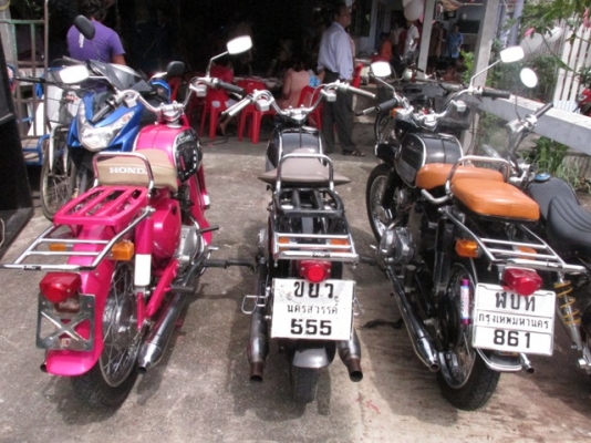 หมูC95 ทะเบียนโอน ราคา80000 หมูC95 ทะเบียนโอน ราคา80000