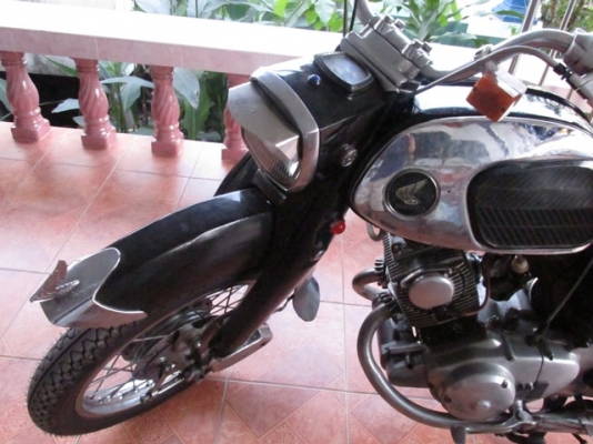 หมูC95 ทะเบียนโอน ราคา80000 หมูC95 ทะเบียนโอน ราคา80000