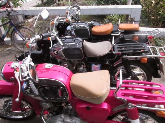 หมูC95 ทะเบียนโอน ราคา80000 หมูC95 ทะเบียนโอน ราคา80000