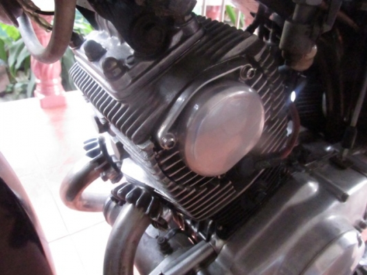 หมูC95 ทะเบียนโอน ราคา80000 หมูC95 ทะเบียนโอน ราคา80000