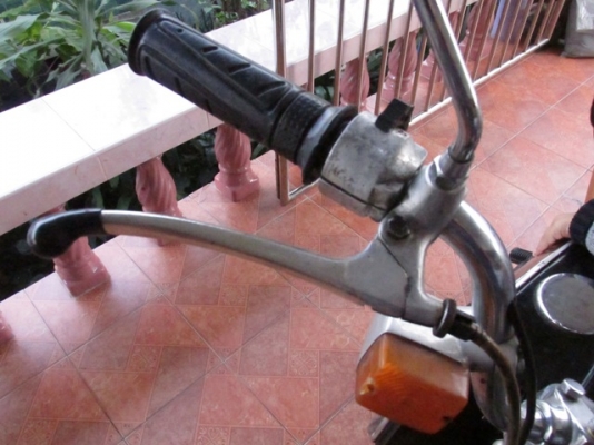 หมูC95 ทะเบียนโอน ราคา80000 หมูC95 ทะเบียนโอน ราคา80000