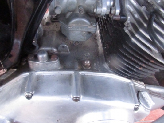 หมูC95 ทะเบียนโอน ราคา80000 หมูC95 ทะเบียนโอน ราคา80000