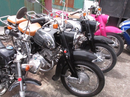 หมูC95 ทะเบียนโอน ราคา80000 หมูC95 ทะเบียนโอน ราคา80000