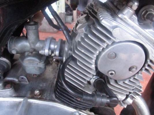 หมูC95 ทะเบียนโอน ราคา80000 หมูC95 ทะเบียนโอน ราคา80000