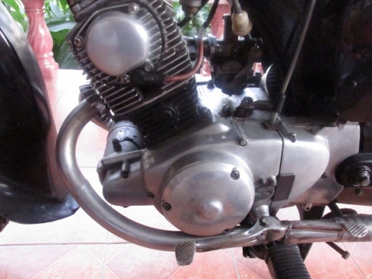 หมูC95 ทะเบียนโอน ราคา80000 หมูC95 ทะเบียนโอน ราคา80000