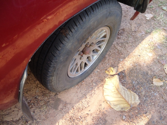 ไมตี้แคบ ปี40เพาเวอร์ พรบ.57 ราคาเบาๆ 145000