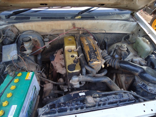 tfrหัวเดียว ปี35 ราคา89000 tfrหัวเดียว ปี35 ราคา89000