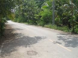 มีที่สวนมะพร้าวสมุทรสงคราม แม่กลอง ลาดเป้ง ต.นางตะเคียน ต.คลองเขิน ให้เช่าหลายแปลงหลายสิบไร่แปลงมีทั้งที่น้ำจืดและน้ำกร่อยไร่ละ300บ.ต่อเดือน ราคาต่อรองได้ลดได้ลด สนใจติดต่อ 0861721580 นัย เบอร์เดียวโทรได้24ชม.