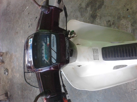 ขาย honda DREAM 100 แห้งๆ ขาย honda DREAM 100 แห้งๆ