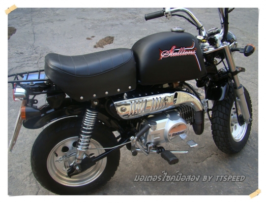 ขาย Stallions Mini Gio ทำสีดำด้านไมล์พันโล ขาย Stallions Mini Gio ทำสีดำด้านไมล์พันโล