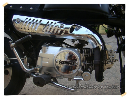 ขาย Stallions Mini Gio ทำสีดำด้านไมล์พันโล ขาย Stallions Mini Gio ทำสีดำด้านไมล์พันโล