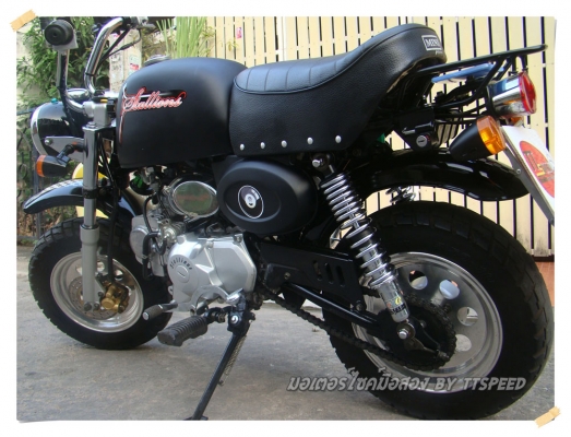 ขาย Stallions Mini Gio ทำสีดำด้านไมล์พันโล ขาย Stallions Mini Gio ทำสีดำด้านไมล์พันโล