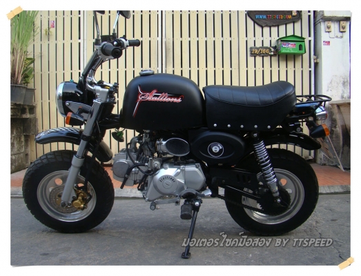 ขาย Stallions Mini Gio ทำสีดำด้านไมล์พันโล