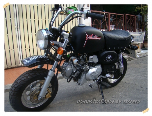 ขาย Stallions Mini Gio ทำสีดำด้านไมล์พันโล ขาย Stallions Mini Gio ทำสีดำด้านไมล์พันโล