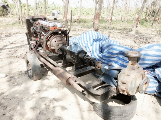 ขายเครื่องสูบน้ำ สำหรับสวนขนาดใหญ่ เลือกปั๊มใด้ ขายเครื่องสูบน้ำ สำหรับสวนขนาดใหญ่ เลือกปั๊มใด้