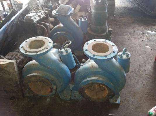 ขายเครื่องสูบน้ำ สำหรับสวนขนาดใหญ่ เลือกปั๊มใด้ ขายเครื่องสูบน้ำ สำหรับสวนขนาดใหญ่ เลือกปั๊มใด้