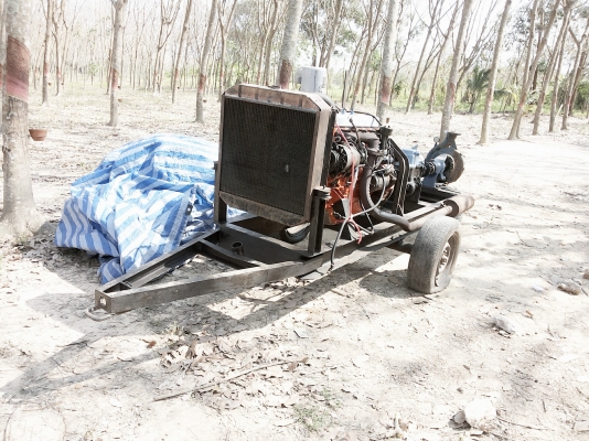 ขายเครื่องสูบน้ำ สำหรับสวนขนาดใหญ่ เลือกปั๊มใด้ ขายเครื่องสูบน้ำ สำหรับสวนขนาดใหญ่ เลือกปั๊มใด้