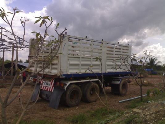 ขาย ลูกพ่วงดั๊ม  3เพลายัด สภาพสวย มากๆ คัทชีสวยๆ