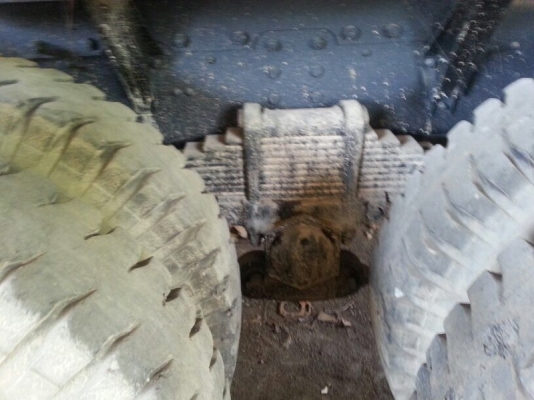 รถอีซูซุ 10 ล้อ หัวลาก 260 แรงม้า ปี 39  สนใจติดต่อ 081 - 6079515