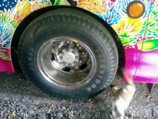 รถบัส ยี่ห้อ MITSUBISHI รุ่น MM516h รถบัส ยี่ห้อ MITSUBISHI รุ่น MM516h