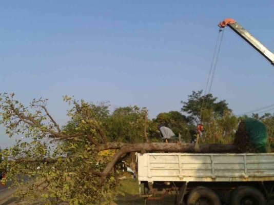 ขาย10ล้อ1เพลา NISSAN UD 275แรง ติดเฮี๊ยบ5ตัน เครื่องดีแคชซีสวย ขาย10ล้อ1เพลา NISSAN UD 275แรง ติดเฮี๊ยบ5ตัน เครื่องดีแคชซีสวย