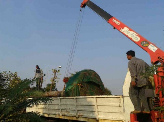 ขาย10ล้อ1เพลา NISSAN UD 275แรง ติดเฮี๊ยบ5ตัน เครื่องดีแคชซีสวย ขาย10ล้อ1เพลา NISSAN UD 275แรง ติดเฮี๊ยบ5ตัน เครื่องดีแคชซีสวย