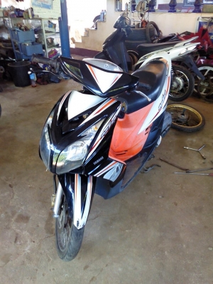 มีโอสองตาปี52 มีโอสองตาปี52