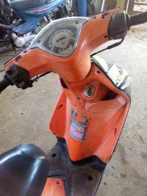 มีโอสองตาปี52 มีโอสองตาปี52