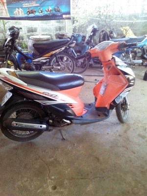 มีโอสองตาปี52 มีโอสองตาปี52