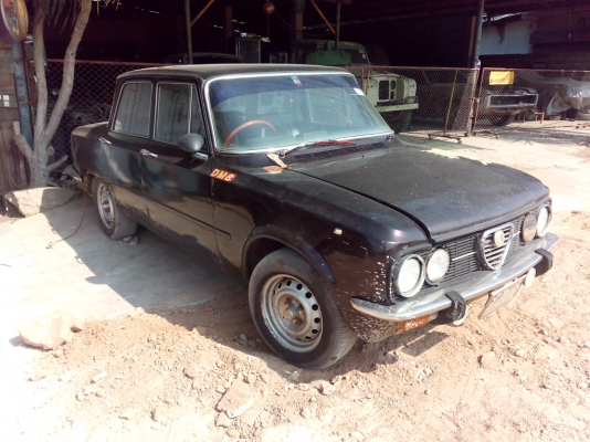 -----------ขาย-Alfa Romeo------------