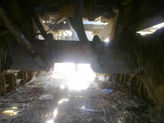 ด่วน! ขายจ้าวช้างไวไฟ ปลาย 50 สภาพพร้อมลุย ราคาต่อลองได้