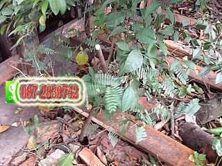 ขาย โฟล์คลิฟ HELI ขนาด 3 ตัน จำนวน 2 คัน