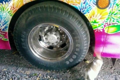 รถบัส ยี่ห้อ MITSUBISHI รุ่น MM516h