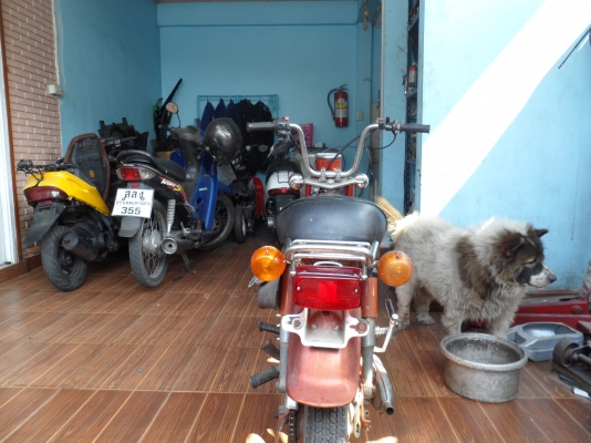 ชาลี 9800 ชาลี 9800