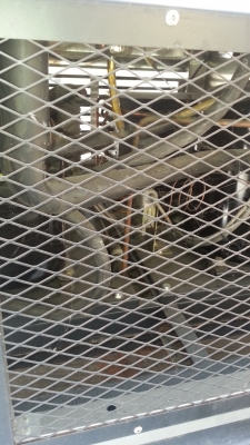 ขายตู้อบเย็นได้ -40ร้อนได้ 100 องศา