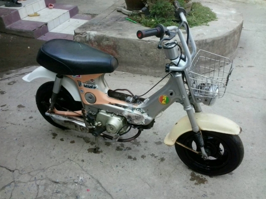 ขายชาลี ถูกๆ