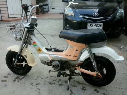 ขายชาลี ถูกๆ