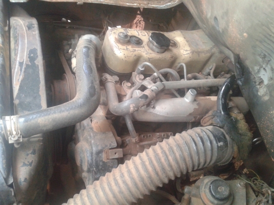 ขายบัดดี้ฝาทอง แน่นๆ ขายบัดดี้ฝาทอง แน่นๆ