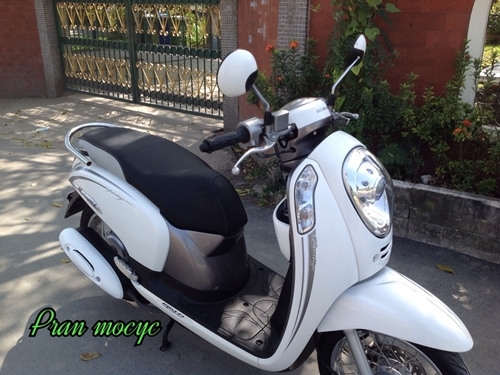 ขายHONDA SCOOPY-I สีขาวเทา  ปี2556